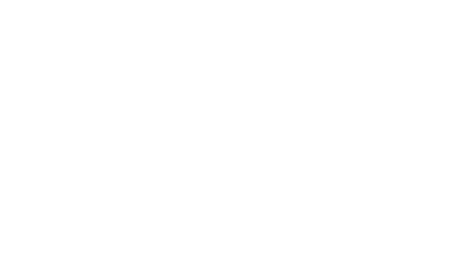 Partner 2