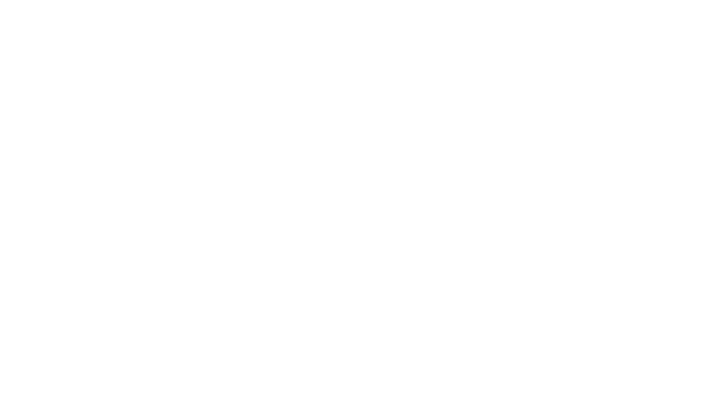 Partner 4